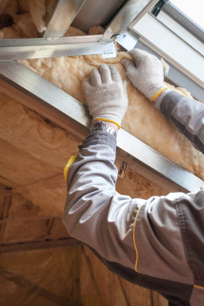 Best Insulation Maintenance and Repair in Horizon City, TX