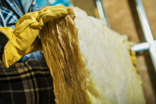 Best Insulation Maintenance and Repair in Horizon City, TX