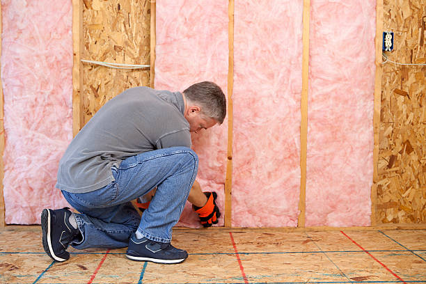 Best Specialized Insulation Services in Horizon City, TX
