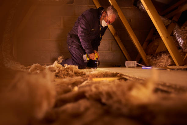 Best DIY Insulation Kits and Guidance in Horizon City, TX