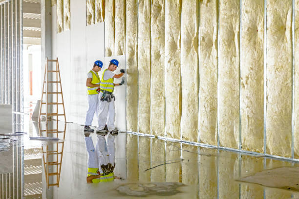 Professional Insulation Contractor in Horizon City, TX
